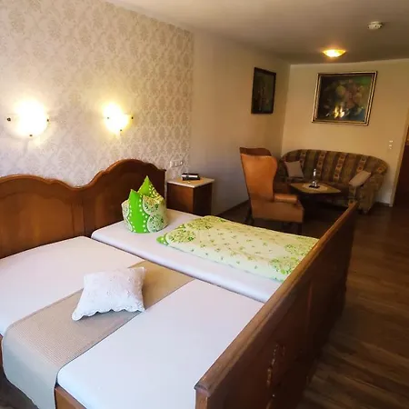 Antikhotel Steinbacher Hof מלון 3*