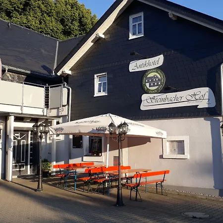 Antikhotel Steinbacher Hof 3*