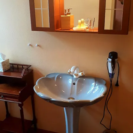 Antikhotel Steinbacher Hof מלון