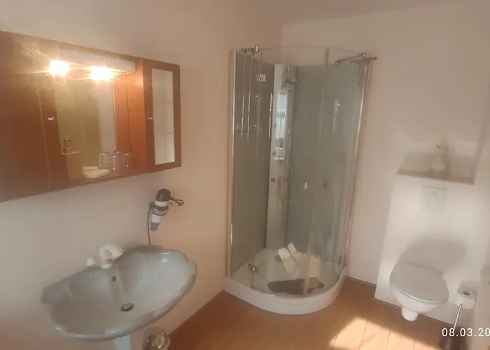 Antikhotel Steinbacher Hof 3* Steinbach am Wald