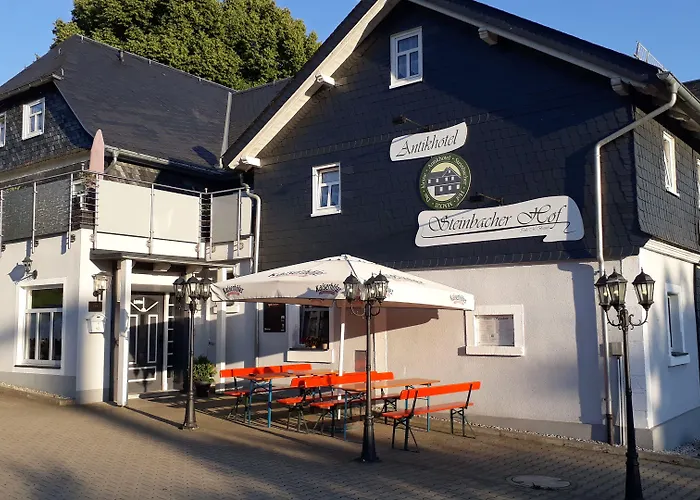 Antikhotel Steinbacher Hof 3*