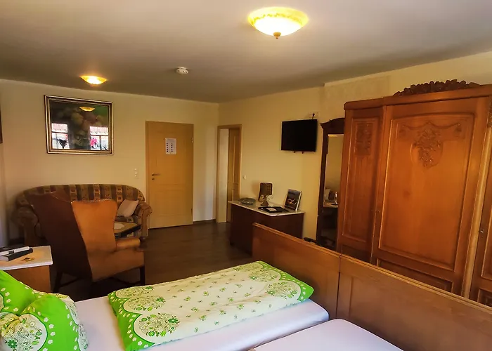 Antikhotel Steinbacher Hof 3*